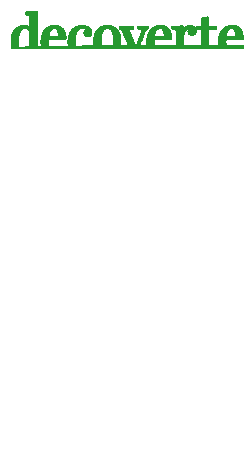 LOGOdecouverteSI